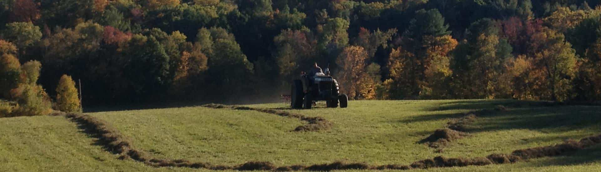 Person driving a tractor raking hay with a hill full of seasonally colored trees in the background