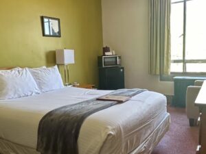 Bedroom with olive walls, pink carpeting, wooden headboard, white bedding, microwave, and mini fridge