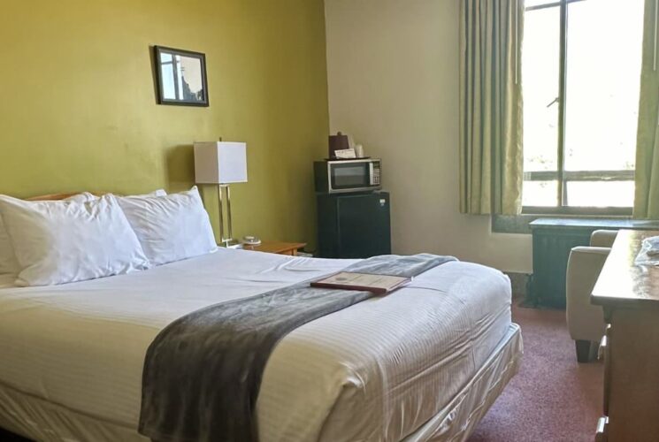 Bedroom with olive walls, pink carpeting, wooden headboard, white bedding, microwave, and mini fridge