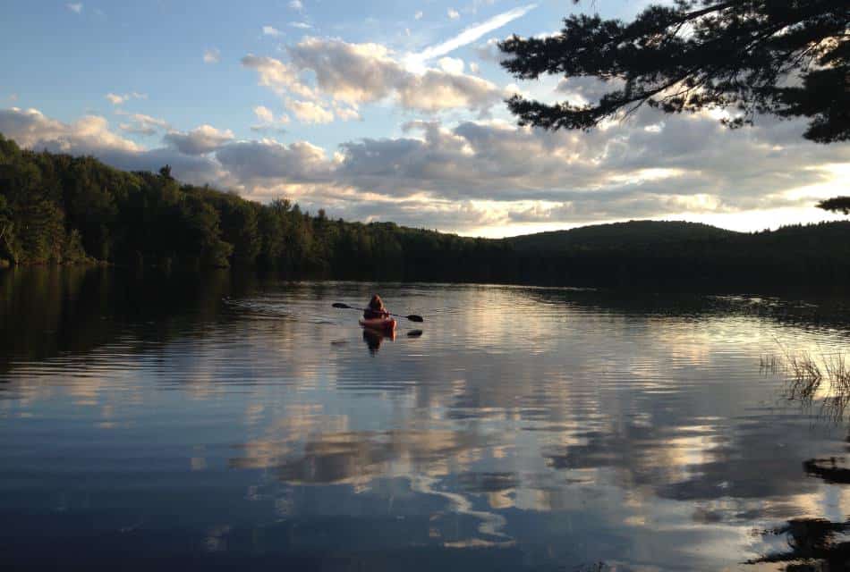 Person kayaking on a small body of calm water surrounded by green trees