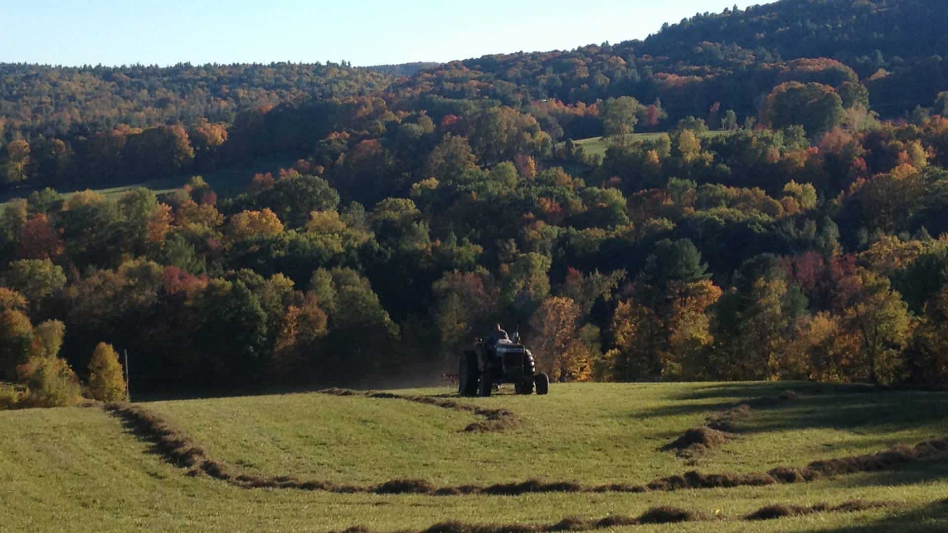 Person driving a tractor raking hay with a hill full of seasonally colored trees in the background