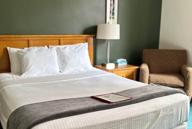 Bedroom with dark green walls, wooden headboard, white bedding, and wooden nightstand with lamp