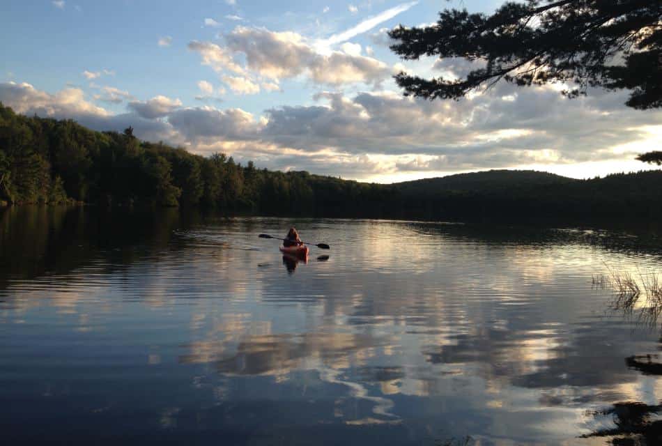 Person kayaking on a small body of calm water surrounded by green trees